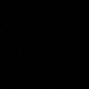 Meet your Posher, Zach